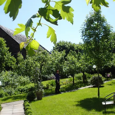 Brauneberger Hof Hotel 4*