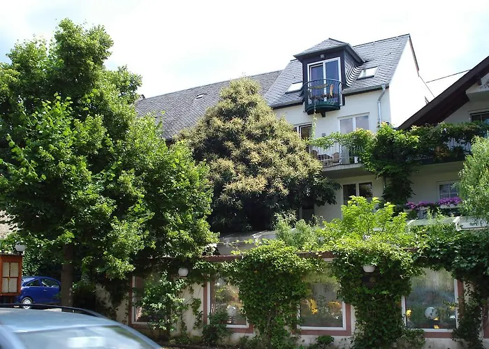 Brauneberger Hof 호텔 4*